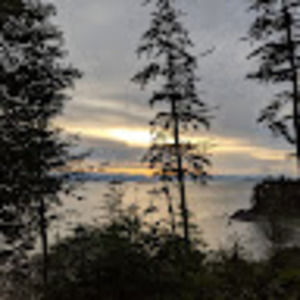 Meet your Posher, Bella